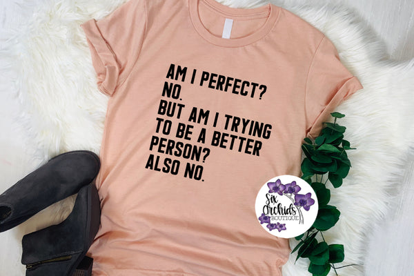Am I Perfect?
